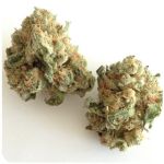 Шишки "White Widow" (Белая вдова) Гидропоника - Бошка VHQ в Чите Шишки "White Widow" (Белая вдова) Гидропоника - Бошка VHQ в Чите