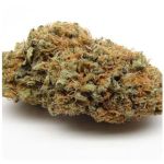 Шишки AK47 (Гидропоника, Бошка) VHQ в Чите Шишки AK47 (Гидропоника, Бошка) VHQ в Чите