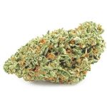 Шишки OG Kush (Гидропоника, бошки) VHQ в Чите Шишки OG Kush (Гидропоника, бошки) VHQ в Чите
